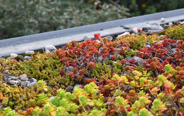 the cost of Stichill green roof installation