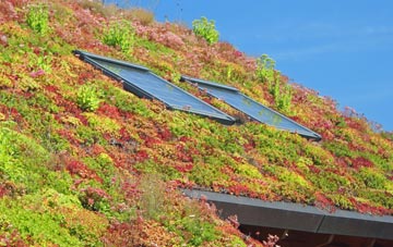 Stichill living roof systems